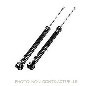 bouvier-auto3395758