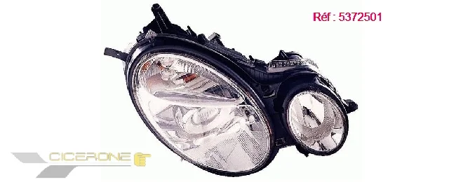 bouvier-auto3590589