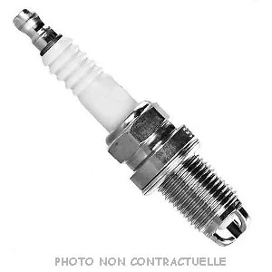 bouvier-auto3922468
