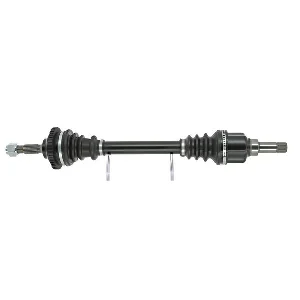 bouvier-auto3924943