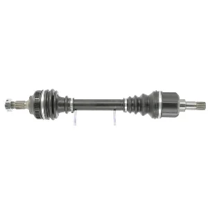 bouvier-auto3926158