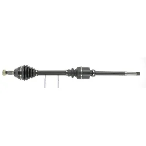 bouvier-auto3928038