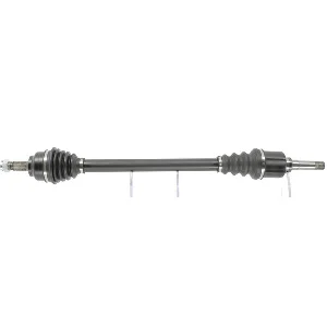 bouvier-auto3932987