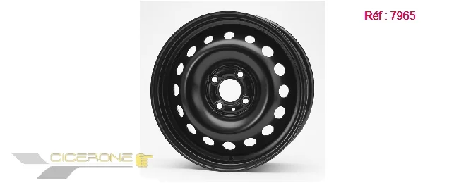 bouvier-auto3933740