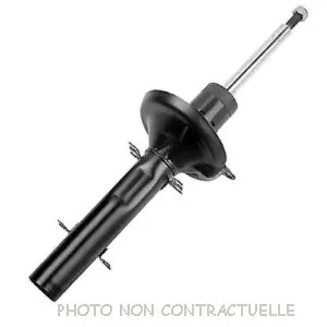 bouvier-auto3935578
