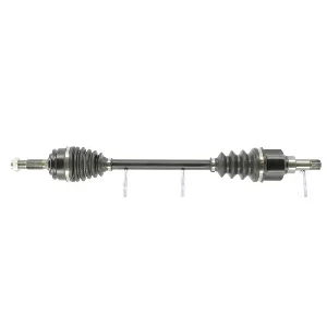 bouvier-auto3937730