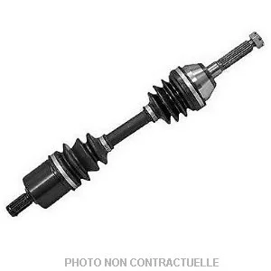 bouvier-auto3938039