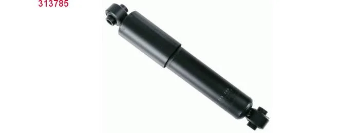 bouvier-auto3939304