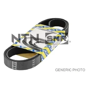 bouvier-auto3954338