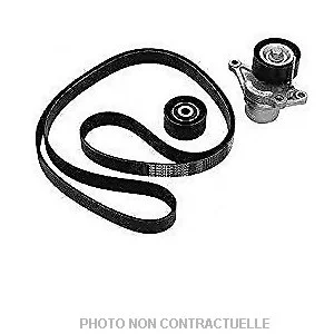 bouvier-auto3969728