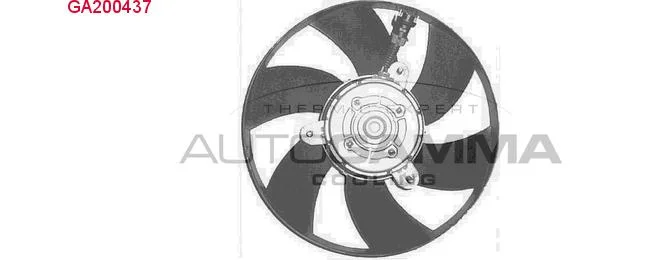 bouvier-auto3979390