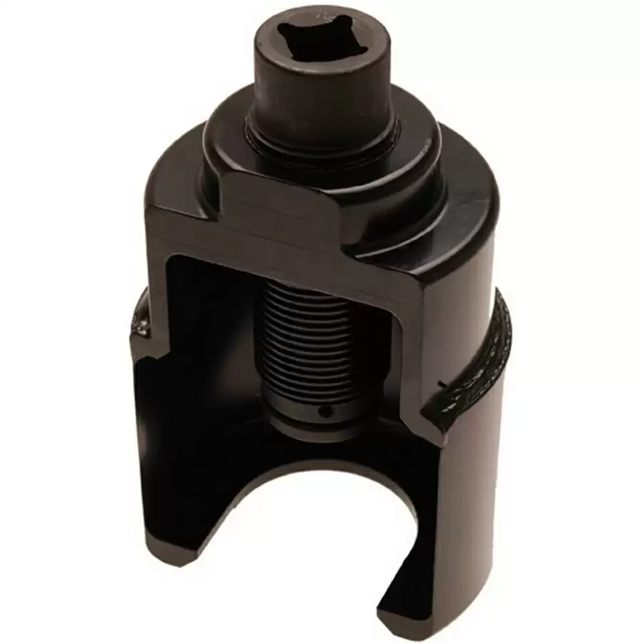 ridewill3415303