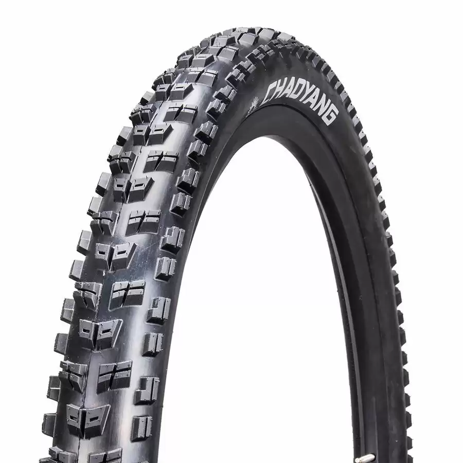 ridewill3431248