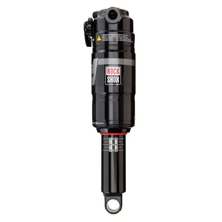 ridewill3480613