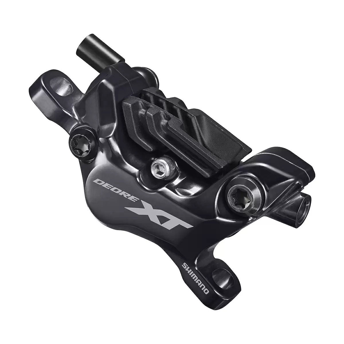 ridewill3525909