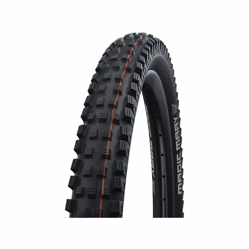 ridewill3559798