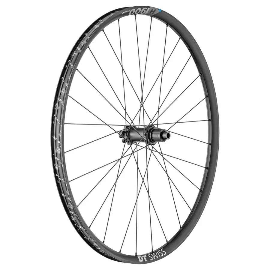 ridewill3667914