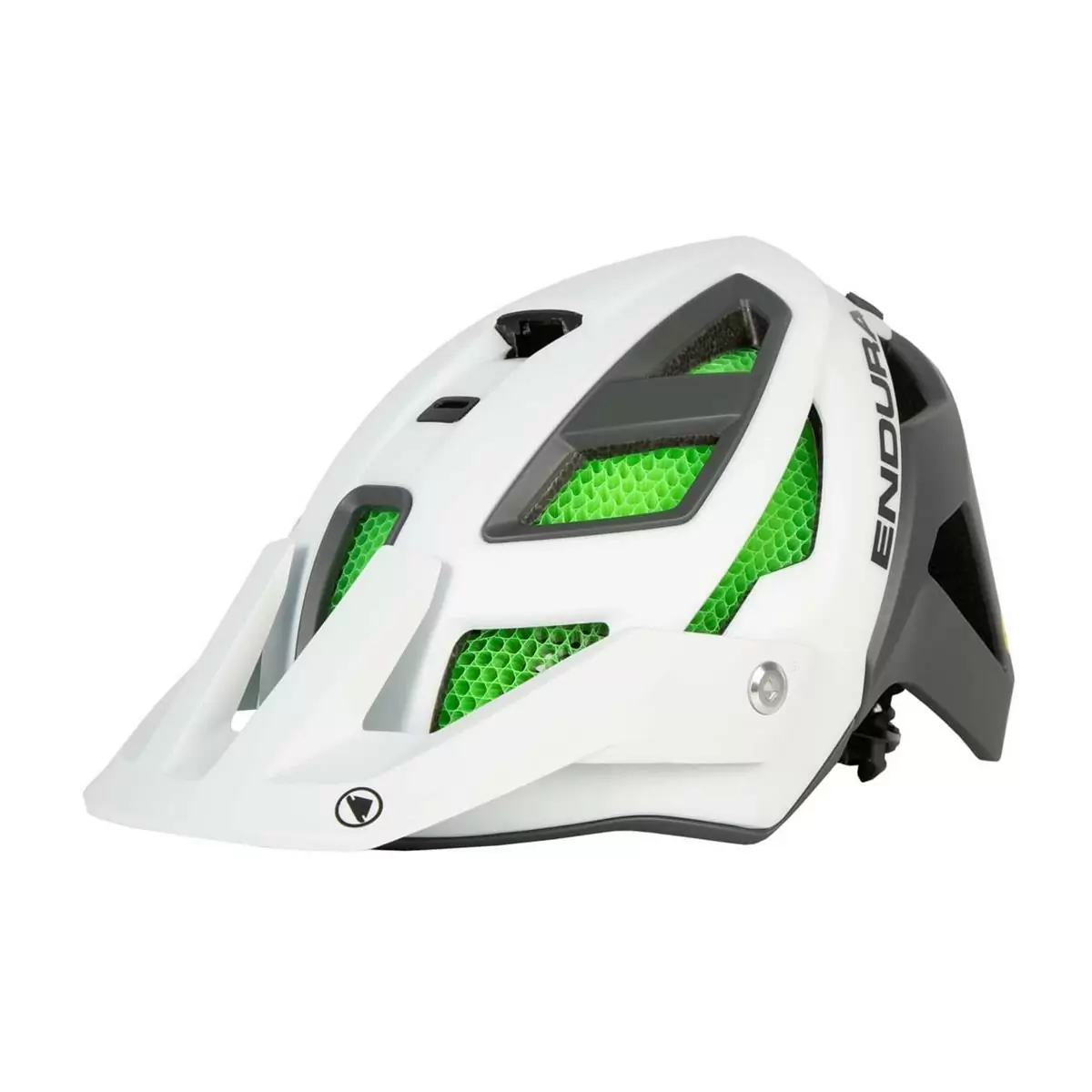 ridewill3669362