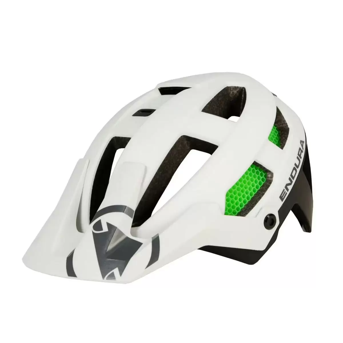 ridewill3669536