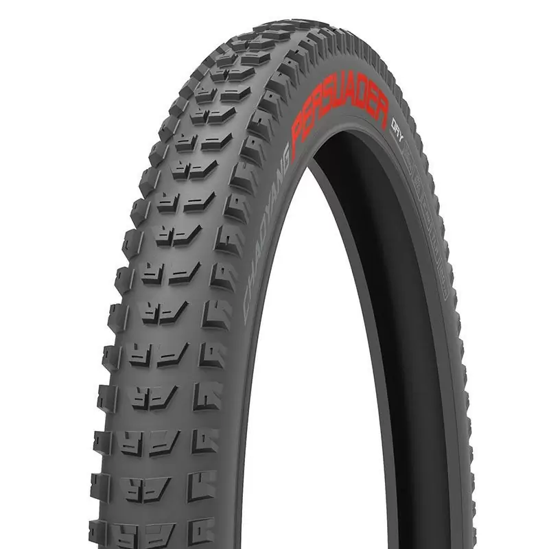 ridewill3698976