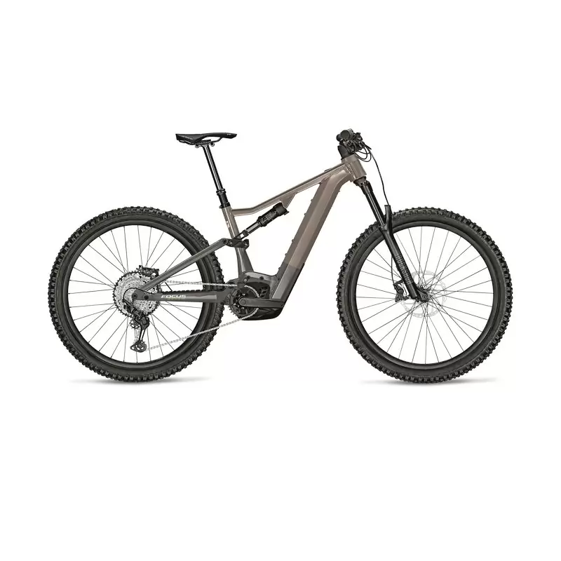 ridewill3724744