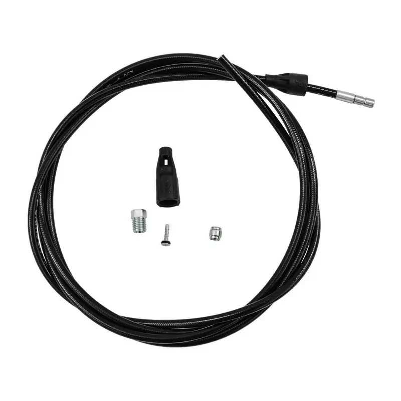 ridewill3745195