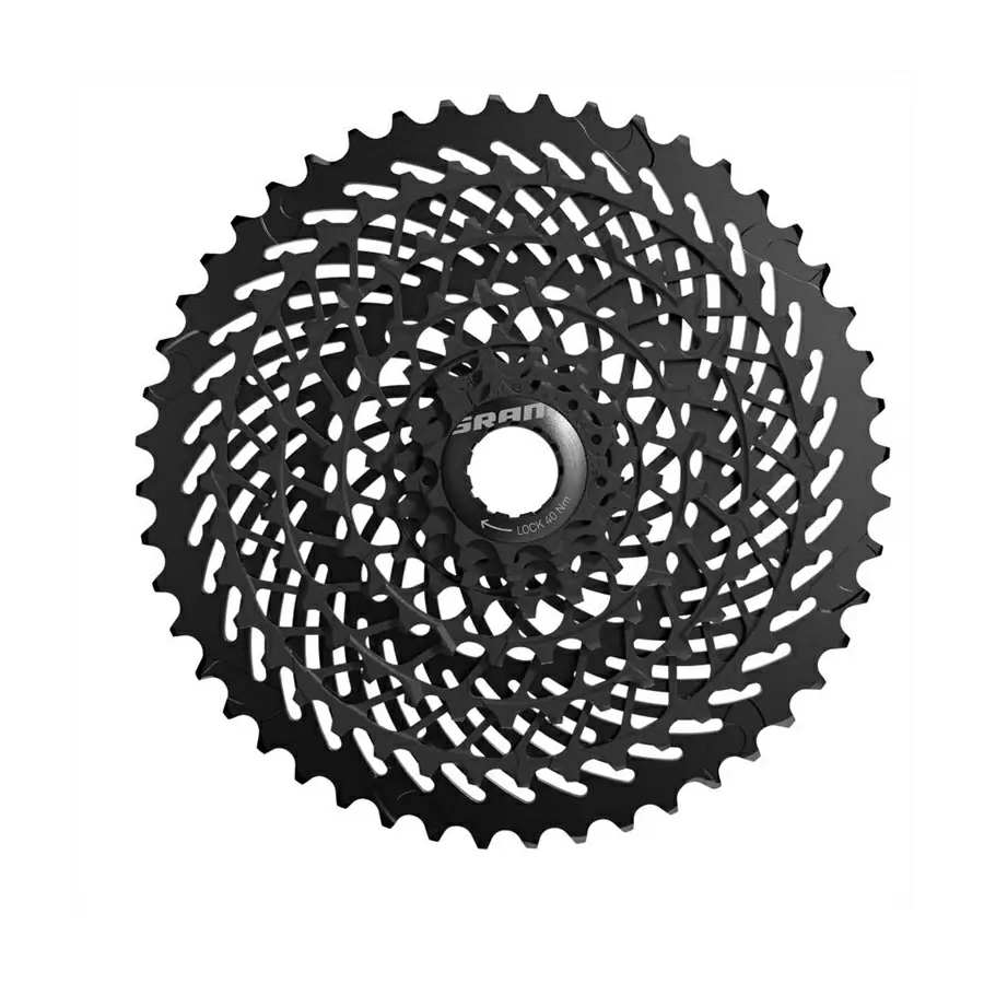 ridewill3775788