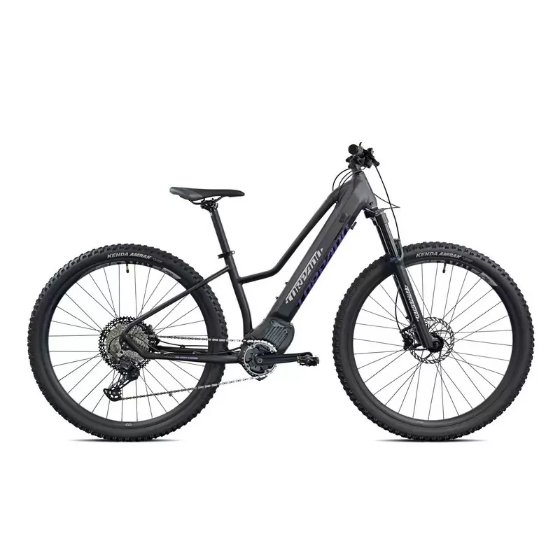 ridewill3790642