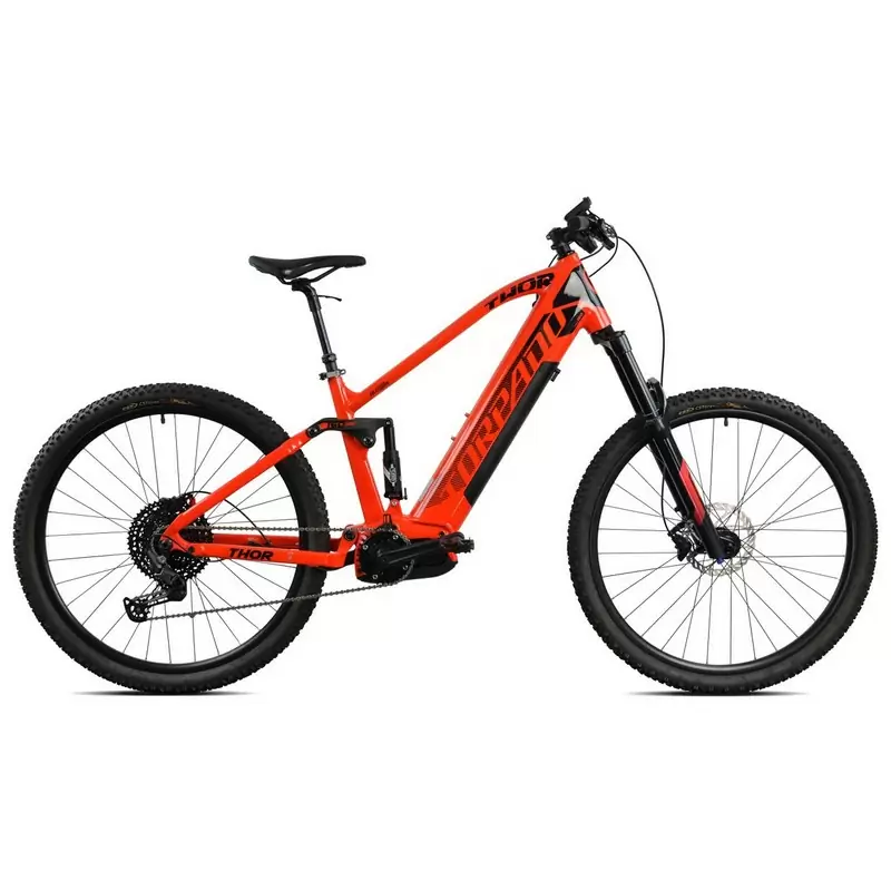 ridewill3791412