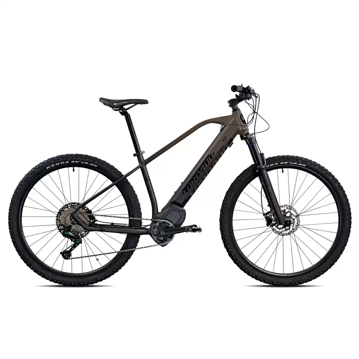ridewill3792734