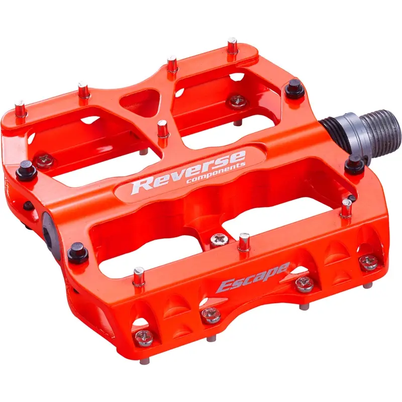 ridewill3828450