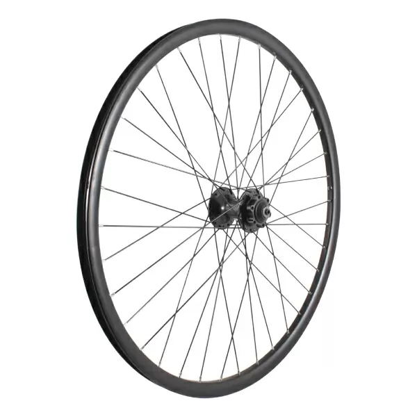 ridewill3839299