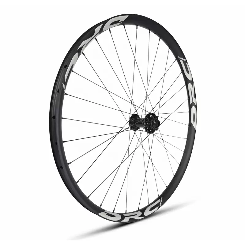 ridewill3842245