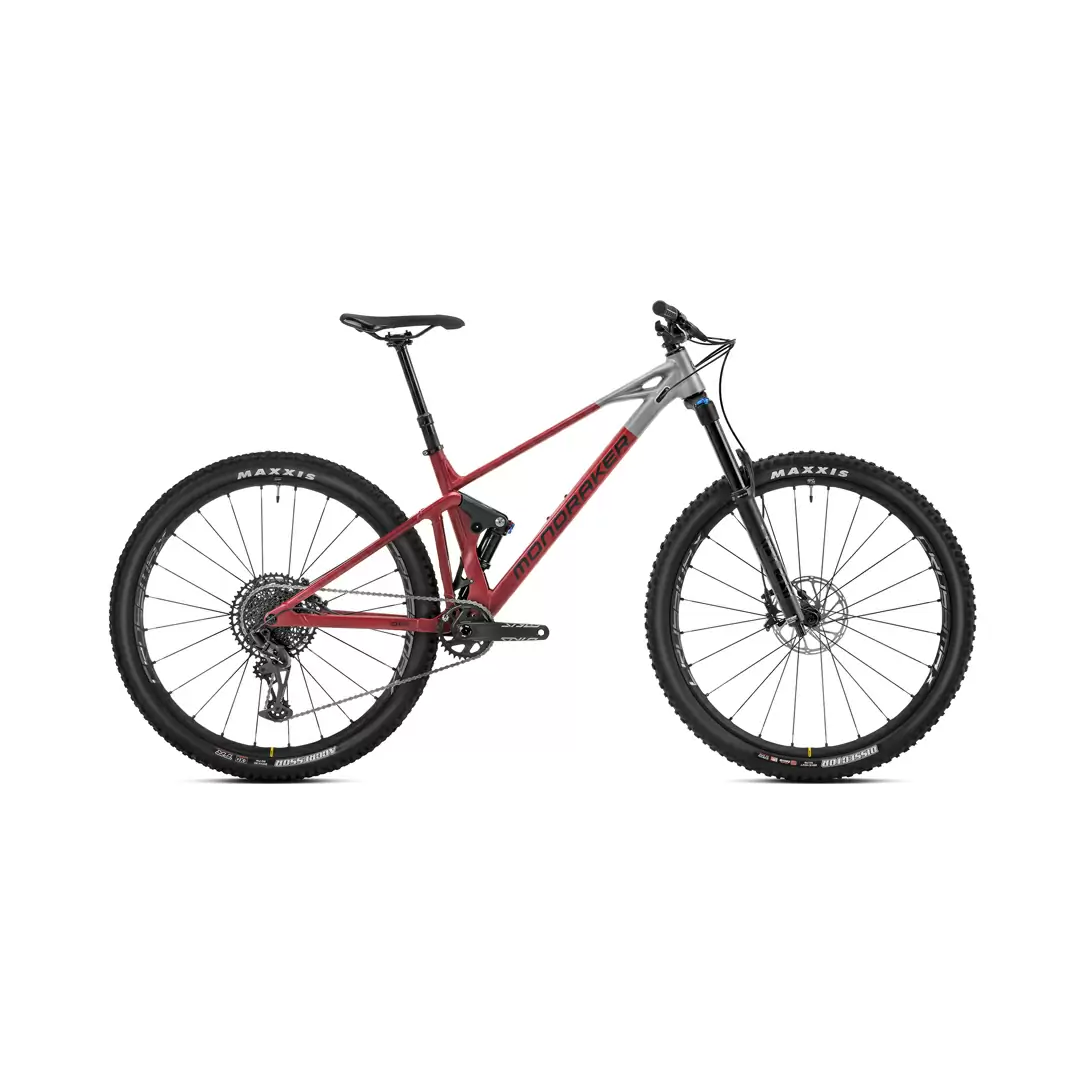 ridewill3842758