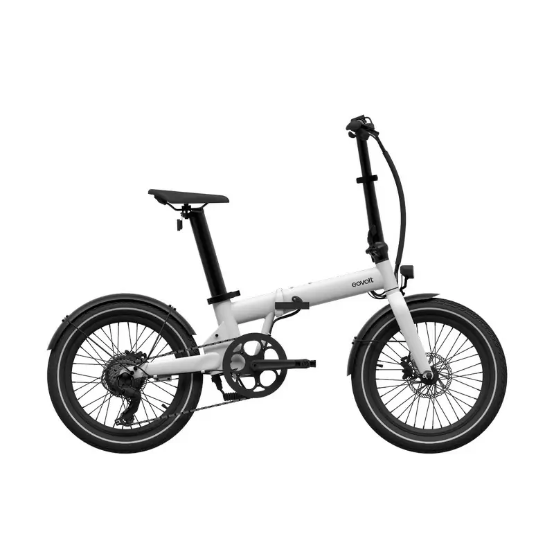 ridewill3853278
