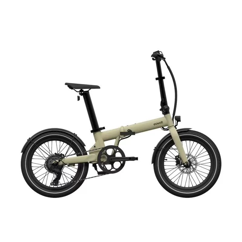 ridewill3853313