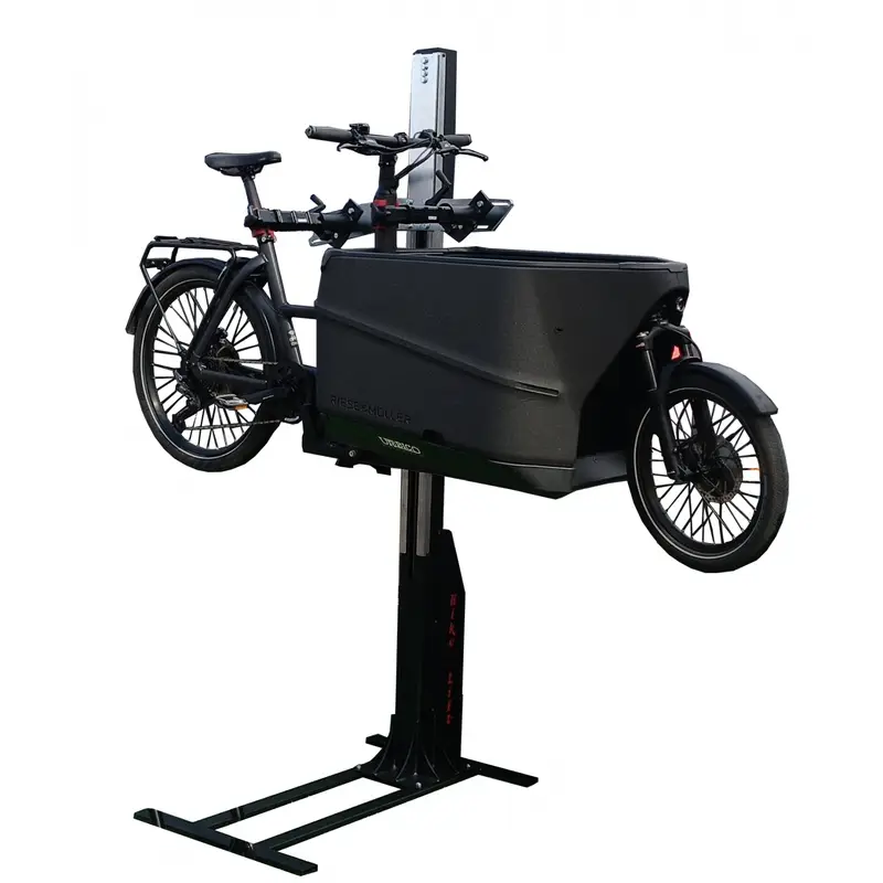 ridewill3865518