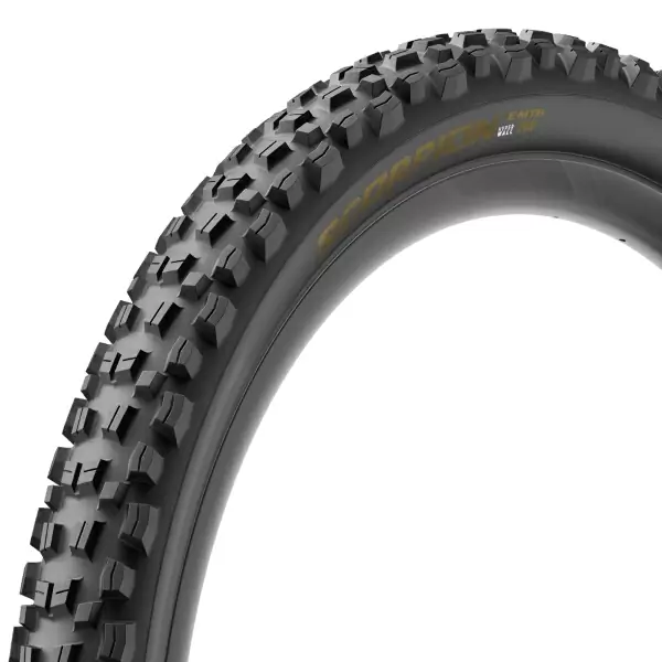 ridewill3870063