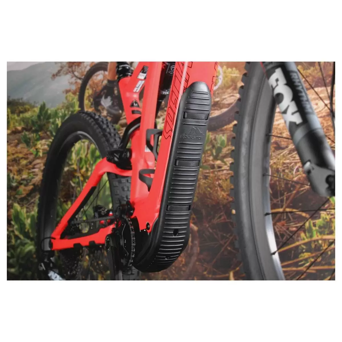 ridewill3870306