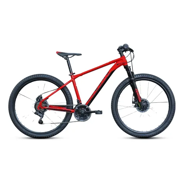 ridewill3929373
