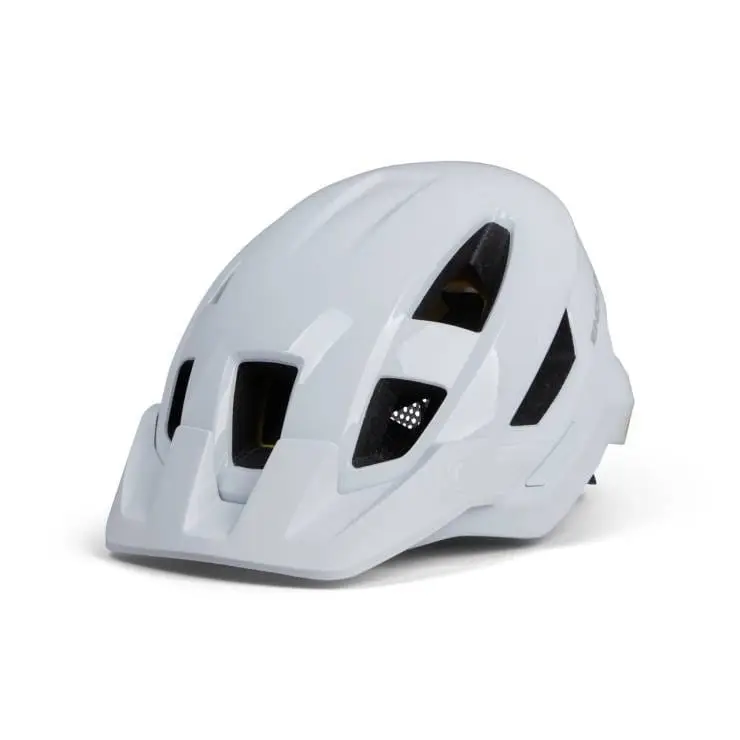 ridewill3937881