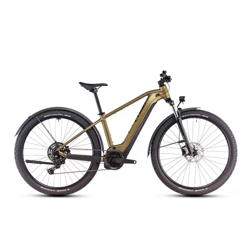 ridewill3950888