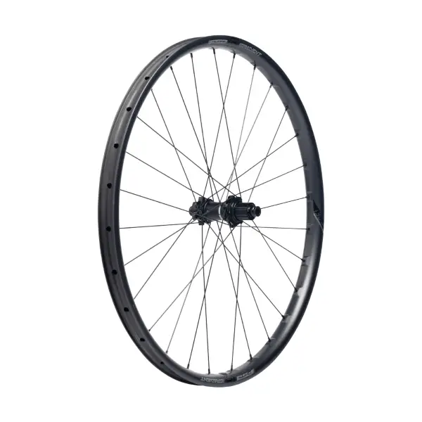ridewill3959653