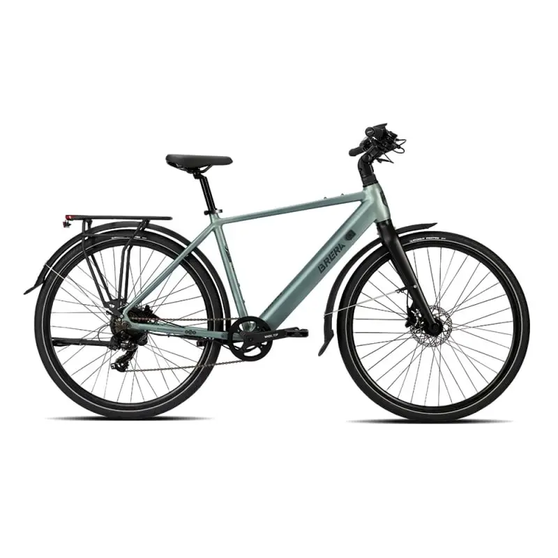 ridewill3998109
