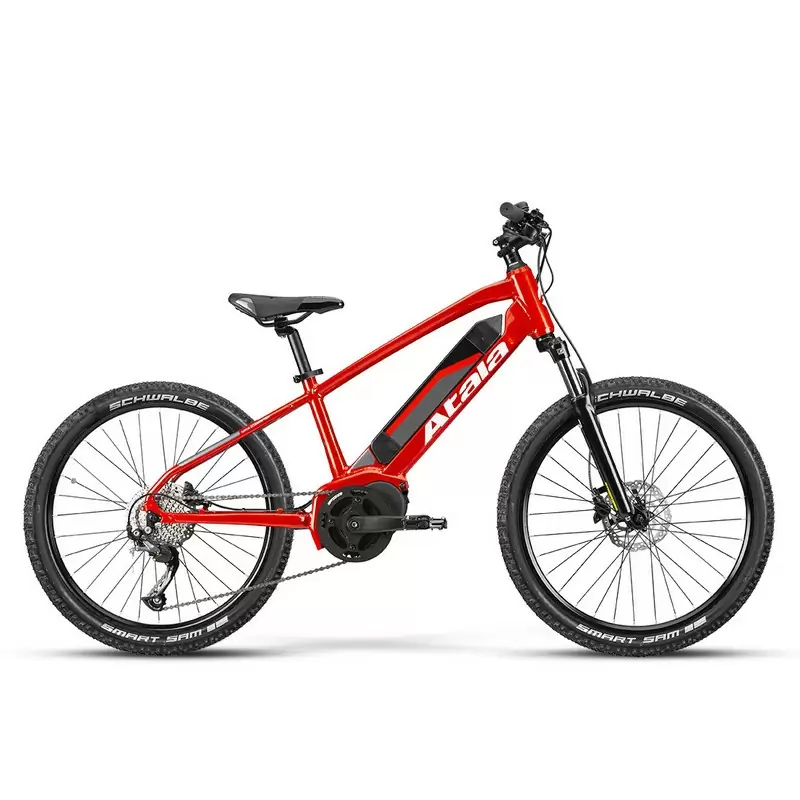 ridewill4077462
