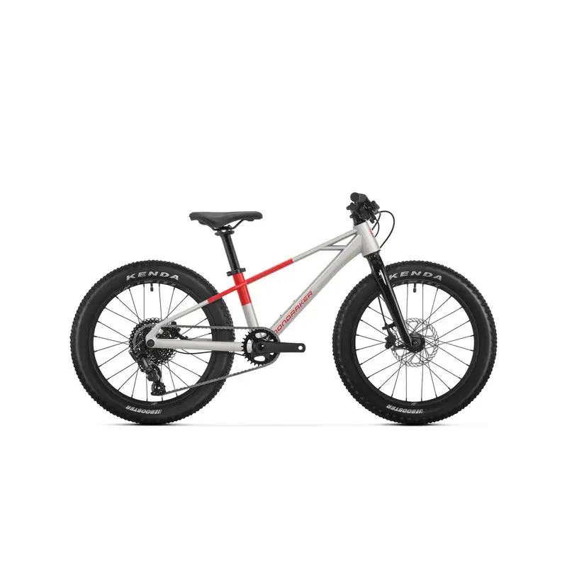 ridewill4130887