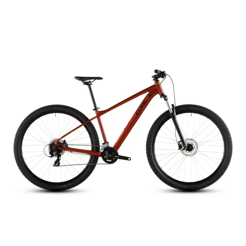 ridewill4158259